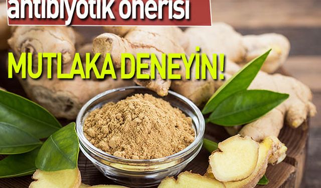 Uzmanından doğal antibiyotik önerisi