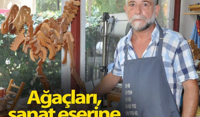 Ağaçları, sanat eserine dönüştürüyor