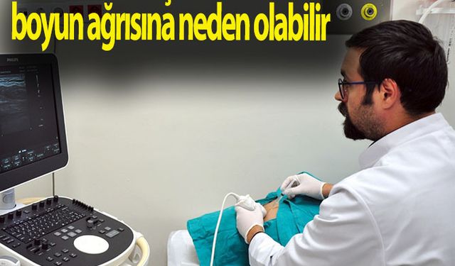 Stres ve duruş bozuklukları boyun ağrısına neden olabilir