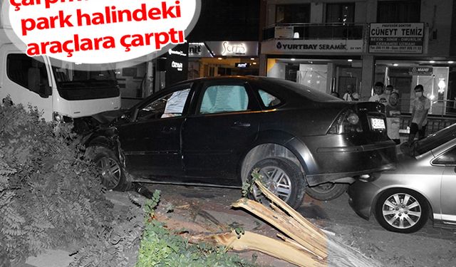 Kediye çarpmamak için park halindeki araçlara çarptı