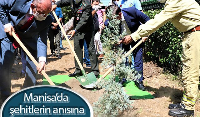 Manisa’da şehitlerin anısına 251 okula 251 fidan