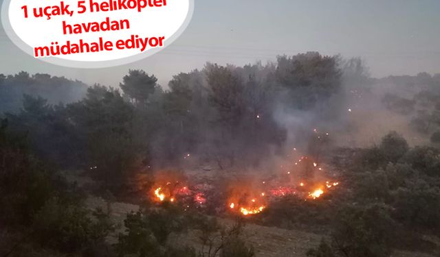  Soma'da orman yangını: 1 uçak, 5 helikopter havadan müdahale ediyor