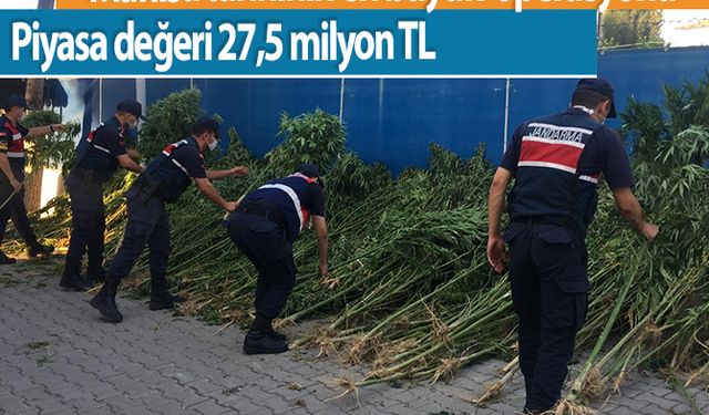 Manisa tarihinin en büyük operasyonu, piyasa değeri 27,5 milyon TL