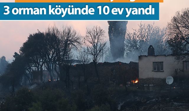 3 orman köyünde 10 ev yandı