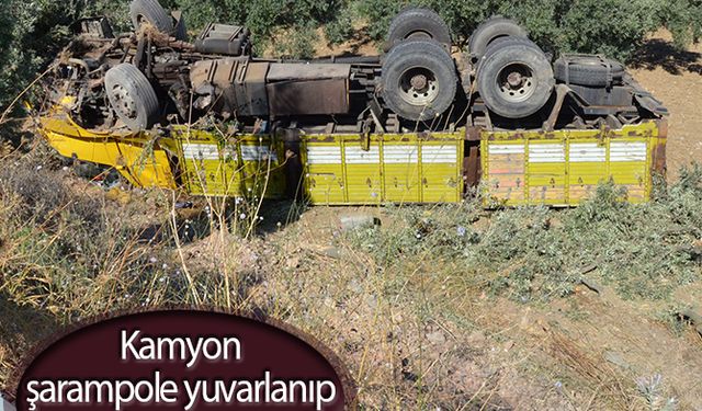 Kamyon şarampole yuvarlanıp ters döndü: 1 yaralı