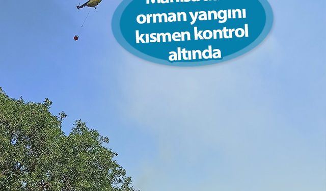 Manisa’daki orman yangını kısmen kontrol altında