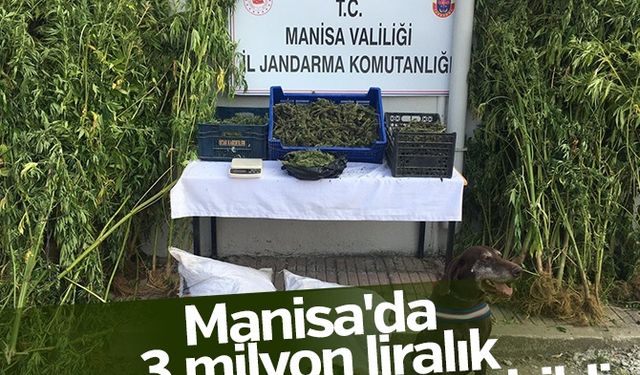 Manisa'da 23 milyon liralık uyuşturucu ele geçirildi