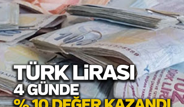 Türk Lirası 4 günde yüzde 10 değer kazandı