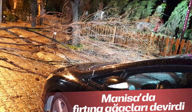 Manisa’da fırtına ağaçları devirdi çatıları uçurdu