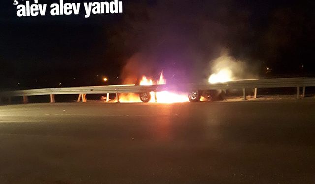 Bariyerlere çarpan otomobil alev alev yandı