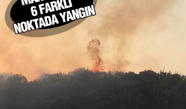 Manisa’da 6 farklı noktada yangın