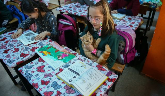 "Fıstık" isimli kedi, İzmir'deki kitap okuma projesinin maskotu oldu