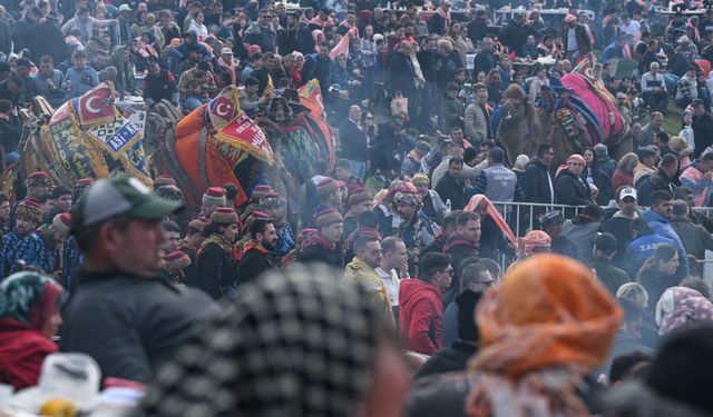 İzmir'de deve güreşi festivali yapıldı