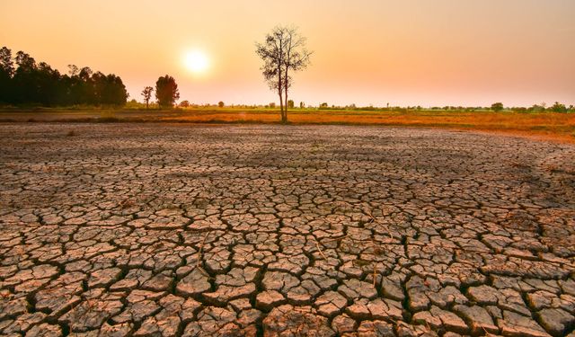 İklim değişikliği El Nino'yla zirve yaptı