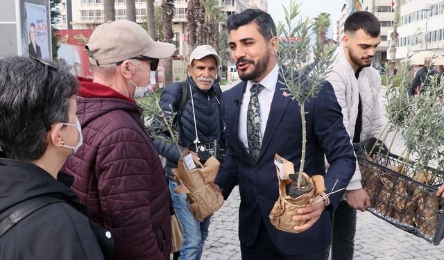 İzmir'de bağımsız belediye başkan adayı zeytin fidesi dağıtıp oy istedi