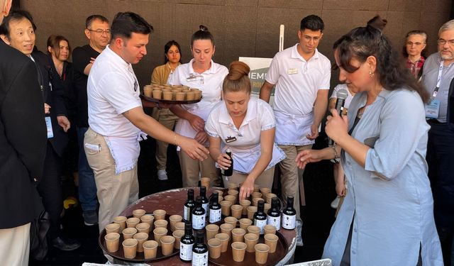 Muğla'da küresel iklim değişikliğinde zeytin ağaçlarının önemi değerlendirildi