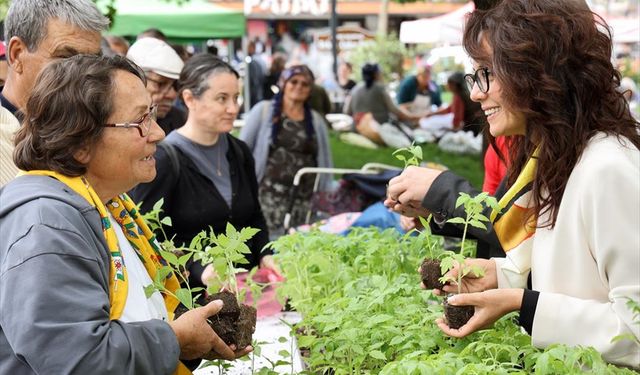 Muğla'da ata tohumlarıyla yetiştirilen 20 bin sebze fidesi dağıtıldı