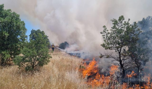 Manisa’da büyük yangın korkuttu