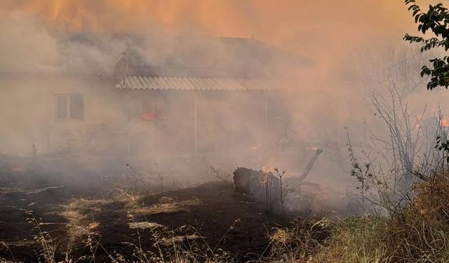 Mazlum Nurlu, Salihli yangın hakkında konuştu