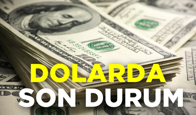 Dolar ne kadar oldu, Euro ne kadar oldu? İşte 12 Kasım Salı döviz fiyatları...