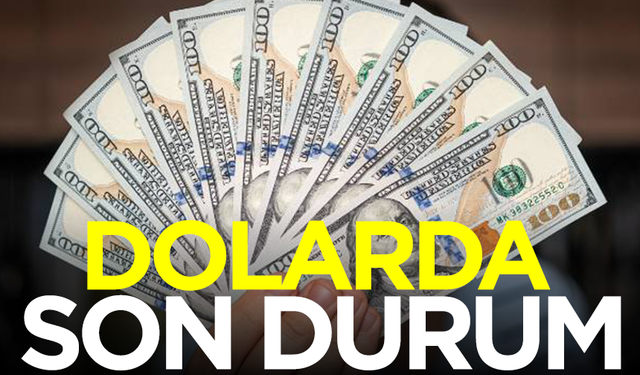 Dolar ne kadar oldu, Euro ne kadar oldu? İşte 7 Kasım Perşembe döviz fiyatları...