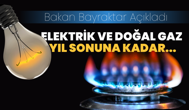 Bakan Bayraktar: Elektrik ve doğalgaza üç ay zam yapılmayacak