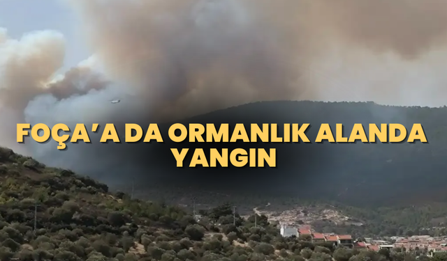 İzmir foça'da yangın