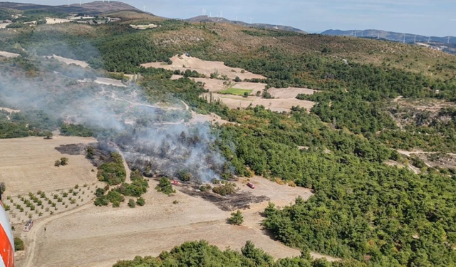 Manisa'da ormanlık alanda yangın !