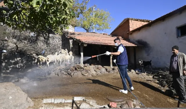 Manisa'da mavi dil hastalığıyla mücadele kapsamında 111 mahalle ilaçlandı