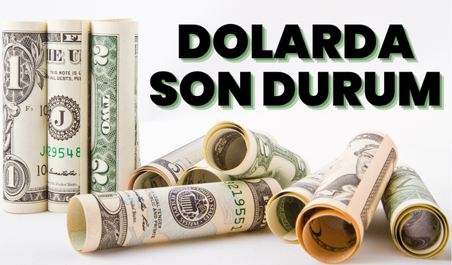 Dolar ne kadar oldu, Euro ne kadar oldu? İşte 11 Kasım Pazartesi döviz fiyatları...