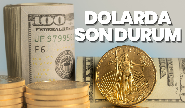 Dolar ne kadar oldu, Euro ne kadar oldu? İşte 8 Kasım Cuma döviz fiyatları...