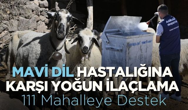 Mavi Dil Hastalığına Karşı Yoğun İlaçlama: 111 Mahalleye Destek