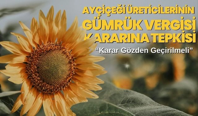 Ayçiçeği Üreticilerinin Gümrük Vergisi Kararına Tepkisi: “Karar Gözden Geçirilmeli”