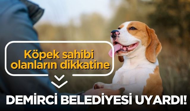 Köpek sahibi olanların dikkatine! Demirci Belediyesi uyardı