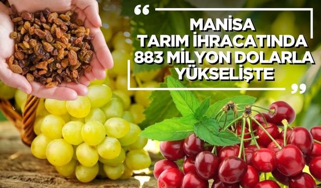 Manisa Tarım İhracatında 883 Milyon Dolarla Yükselişe Geçti