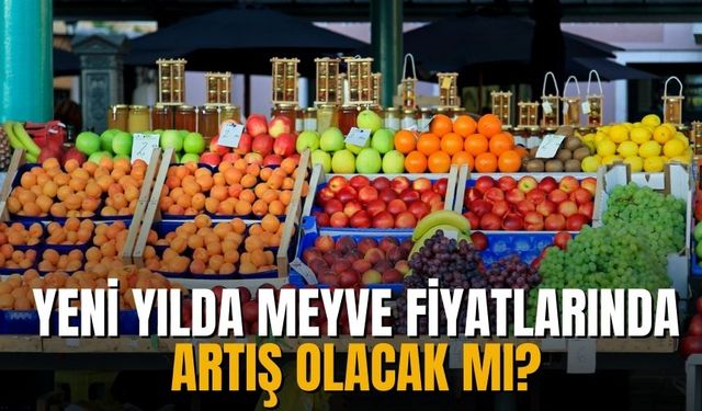 Yeni yılda meyve fiyatlarında artış olacak mı?