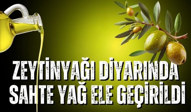 Zeytinyağı diyarında sahte yağ ele geçirildi