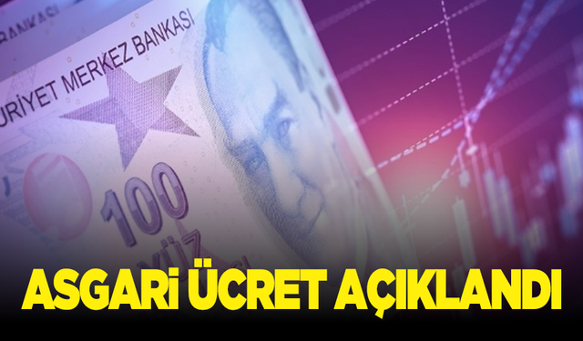 Asgari ücret 22 bin 104 lira oldu!