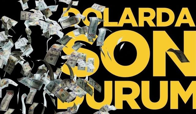 21 Ocak Salı  2025 dolar fiyatları