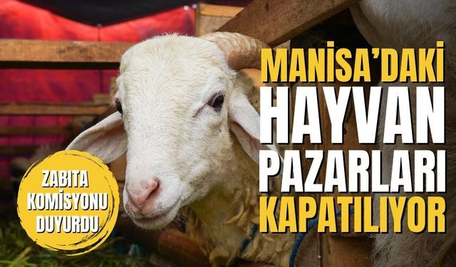 Manisa’daki hayvan pazarları kapatılıyor: Zabıta komisyonu duyurdu