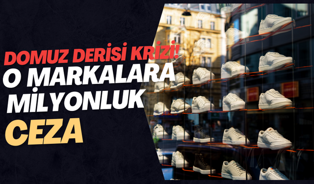 Domuz derisi krizi! O markalara milyonluk ceza