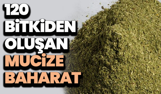 Raflarda yok, doğadan sofraya: 120 bitkiden oluşan mucize baharat "Zetrin"!
