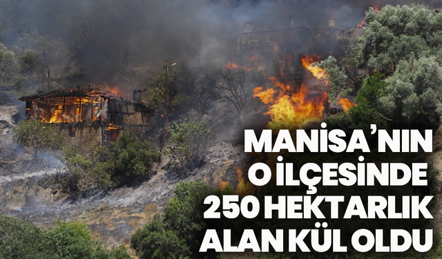Manisa’nın o ilçesinde  250 hektarlık alan kül oldu