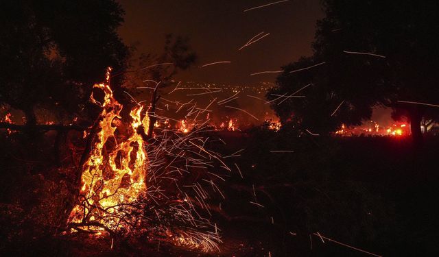 İzmir alevlerle mücadele ediyor: Ödemiş, Buca ve Çeşme’de yangınlar sürüyor