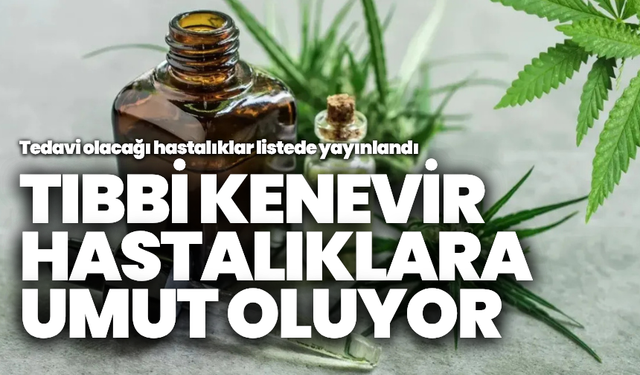 Tıbbi kenevir bu hastalıklara umut olacak: Liste açıklandı!