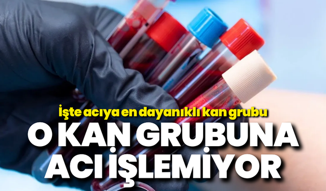 O kan grubuna acı işlemiyor: İşte acıya en dayanıklı kan grubu