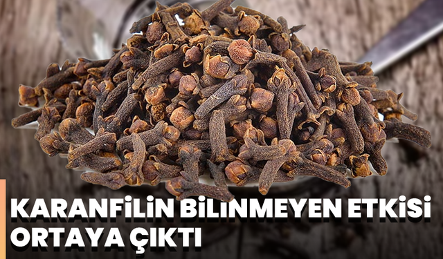 Karanfilin bilinmeyen etkisi ortaya çıktı