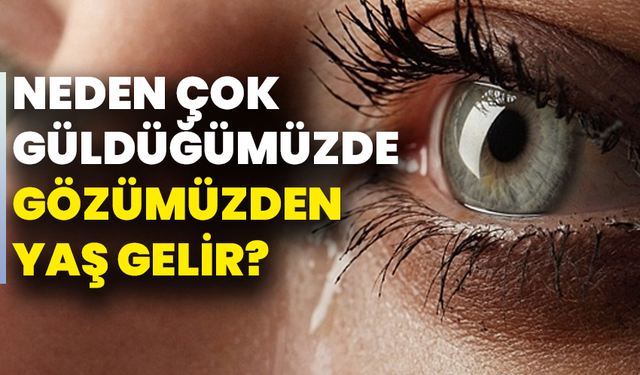 Neden çok güldüğümüzde gözümüzden yaş gelir? Bilim bu kez kahkahalara açıklama getirdi!