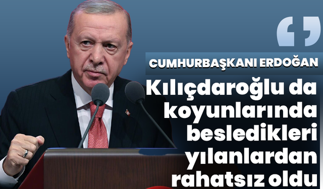 Cumhurbaşkanı Erdoğan: ‘’Kılıçdaroğlu da koyunlarında besledikleri yılanlardan rahatsız oldu’’