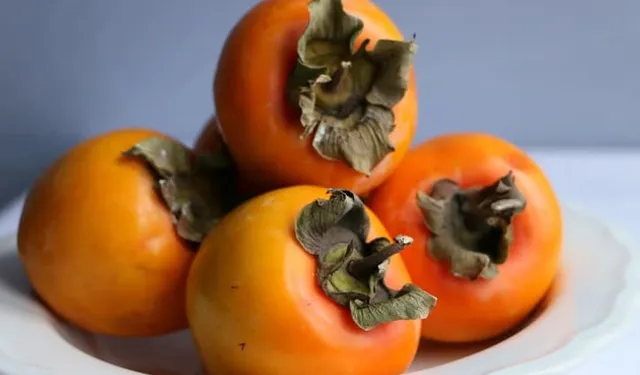 Manisa’da ilk kez düzenleniyor: 1. Cennet Elması Festivali kapılarını açacak!